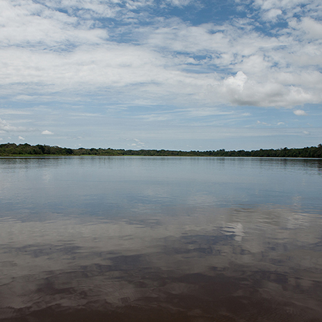 AMAZONAS 15 rio mosaico galeria_MG_4025.jpg